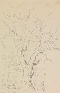 På Newport Road, 12 februari 1826 av Capt. Thomas Hastings