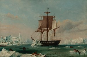 USS Vincennes i Disappointment Bay (olja på duk) av Captain Charles (attributed to) Wilkes