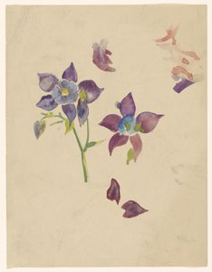 Blomstudie av Carel Adolph Lion Cachet