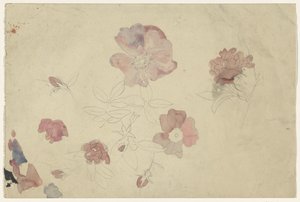 Blomsterstudier i lila och rosa