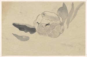 Blomstudie av Carel Adolph Lion Cachet
