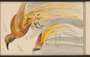 Großer Paradiesvogel av Carel Adolph Lion Cachet