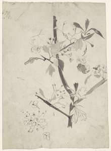 Gren med blomma av Carel Adolph Lion Cachet