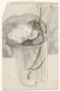 Vit blomma i ett glas av Carel Adolph Lion Cachet