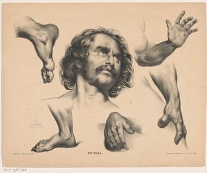 Huvudet på en man, fötter, händer och armar Pictura (serietitel på objekt) av Carel Christiaan Antony Last