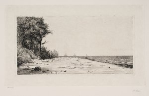 Från Själlands nordkust. Hornbæk plantage