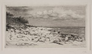 Stenig Strandbred av Carl Bloch