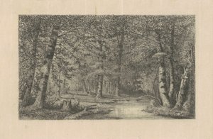 Bokskogen