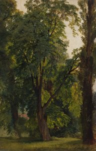 Trä i Konigs Wusterhausen (olja på duk nedlagd på kartong)