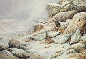 ripa i snötäckt landskap av Carl Donner