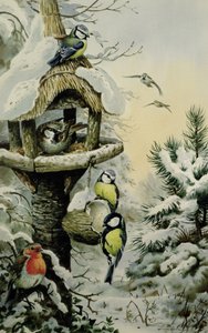 Vinterfågelbord med blåmesar, talgoxar, gråsparvar och en rödhake