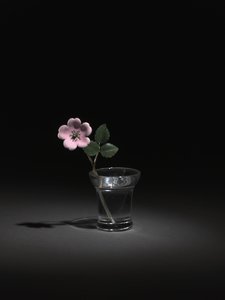 Wild Rose, sent 1800-tal - början av 1900-talet