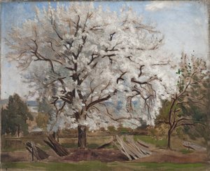 Äppelträd i blom, 1877
