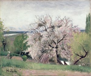 Fruktträd i blom, Bois-le-Roi