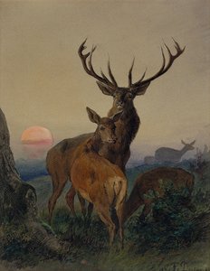 En hjort med ett rådjur i ett skogslandskap vid solnedgången av Carl Friedrich Deiker
