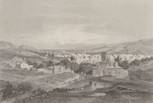 Damaskus floder av Carl Friedrich Heinrich Werner