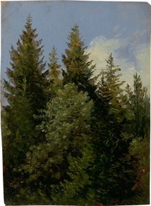 Granar av Carl Gustav Carus
