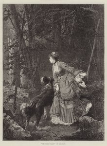 Skogsgläntan