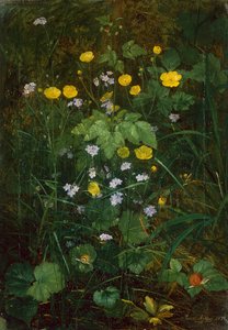 Smörblommor och Förgätmigej på ett skogsgolv av Carl Henrik Koch Moller