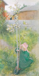 Appleblossom, 1894 av Carl Larsson