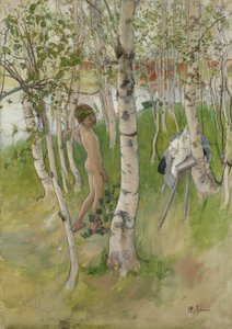 Naken pojke bland björkar, 1898 (wc på papper)