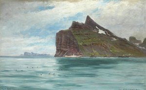 Vy från Nordkap, Island, från den kungliga danska resan 1907 med ångfartyget SS Birma