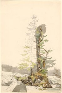 En trädklump vid en stenig ström i Ramsau av Carl Morgenstern