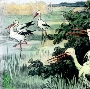 Wilhelm Hauff - Sagor - Kalifstorken. Bilddatum cirka 1910. Carl Simon-arkivet av Carl Simon