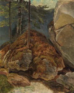 Ölstudie mit moosbewachsenem Felsen av Carl Spitzweg
