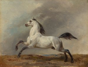Grå hingst till vänster av Carl Steffeck