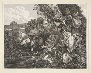 Landskap