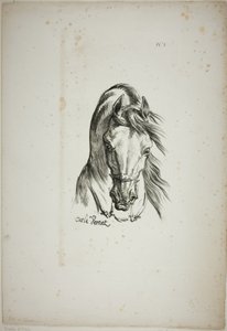 Detalj av hästhuvud, förstorat till tredubbel storlek, Norman Royal Guard, nr 1 av Carle Vernet