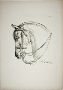 Detalj av hästhuvud, förstorat till tredubbel storlek, Norman Royal Guard, nr 2 av Carle Vernet