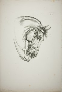 Detalj av hästhuvudet, förstorat till tredubbel storlek, Norman Royal Guard, nr 5, First Limoges Horse av Carle Vernet