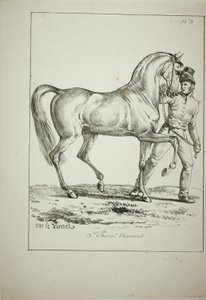 Royal Guard, Norman Cavalier, inte i full dress, och häst, nr 3 av Carle Vernet
