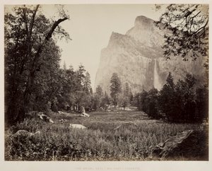 Brudslöja, Yosemite, ca. 1865-1866. av Carleton E. Watkins