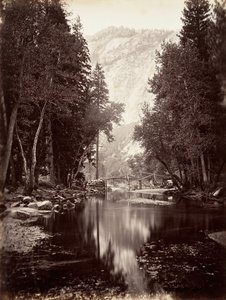 Eagle Point, 4 000 fot, Yosemite, ca. 1872, tryckt ca. 1876.