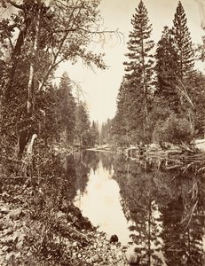 Merced River, Yosemite, ca. 1872, tryckt ca. 1876.