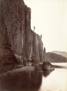 swedish av Carleton Emmons Watkins