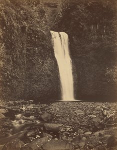 Lower Multnomah Falls, Columbia River,1867 (foto) av Carleton Emmons Watkins