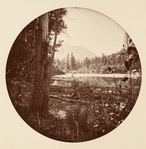 [Yosemite National Park, Kalifornien], ca. 1878. av Carleton Emmons Watkins