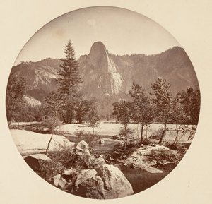 swedish av Carleton Emmons Watkins