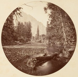 [Yosemite National Park, Kalifornien], ca. 1878. av Carleton Emmons Watkins