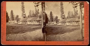 Big Tree Station, Mariposa Grove av Carleton Watkins
