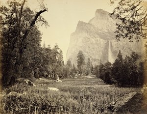 Brudslöja, 900 fot av Carleton Watkins