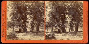 Stuga i Camp Grove, Yosemite Valley, Mariposa County, Ca av Carleton Watkins