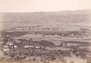[Calistoga, Kalifornien?] av Carleton Watkins