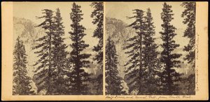 Half Dome och Vernal Fall, från South Fork av Carleton Watkins