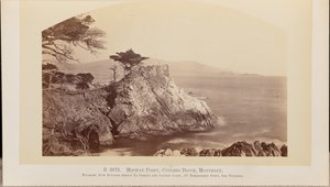 Midway Point, Cypress Drive, Monterey av Carleton Watkins