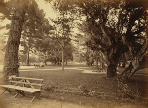 [Monterey, Kalifornien. Hotel Del Monte, Lawn View]. av Carleton Watkins